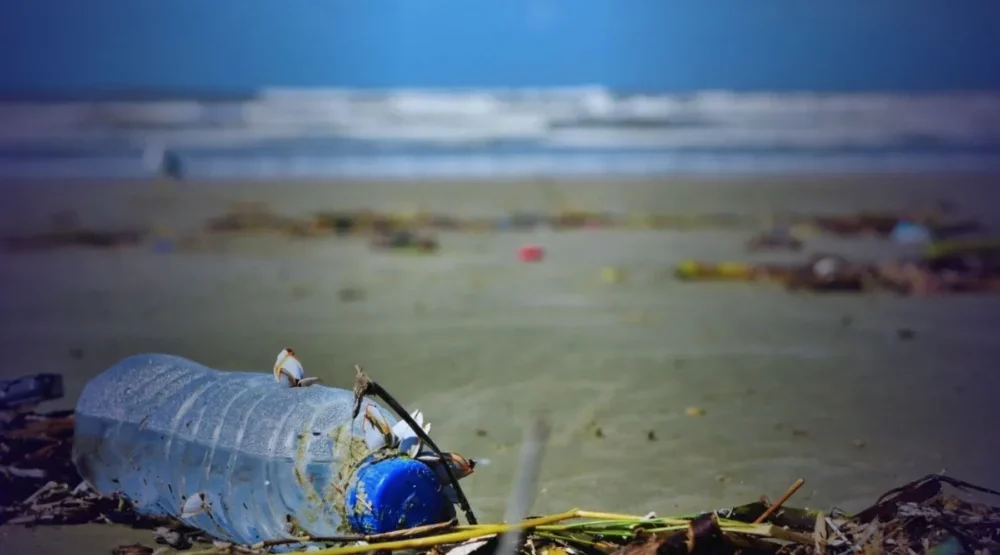 Pescadores e catadores retiram 45 toneladas de resíduos em baías do RJ