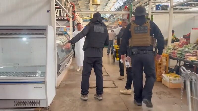 Polícia Civil de MT apreende 4 toneladas de pescado ilegal em Cuiabá e Várzea Grande