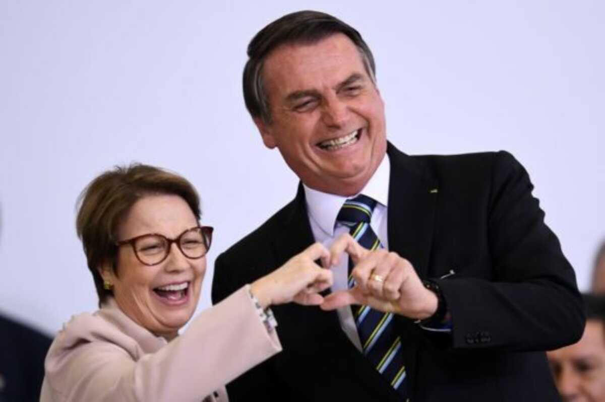 Tereza Cristina pede à Justiça para visitar Bolsonaro