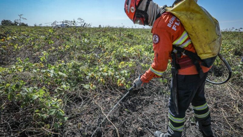 Corpo de Bombeiros combate 38 incêndios florestais neste domingo em várias regiões