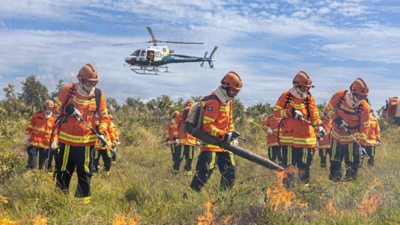 Corpo de Bombeiros combate oito incêndios florestais neste sábado em Mato Grosso