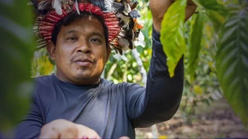 Fomento Rural fortalece segurança alimentar e nutricional na Terra Indígena Yanomami