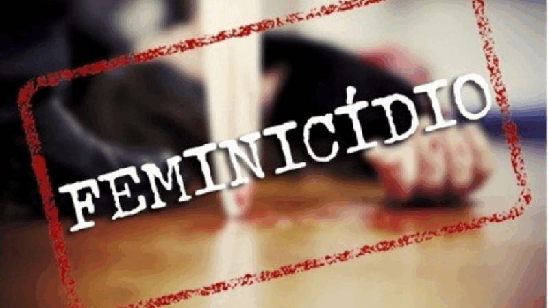 Governo de MT e deputada Edna fecham acordo para criar comissão especial do feminicídio na AL