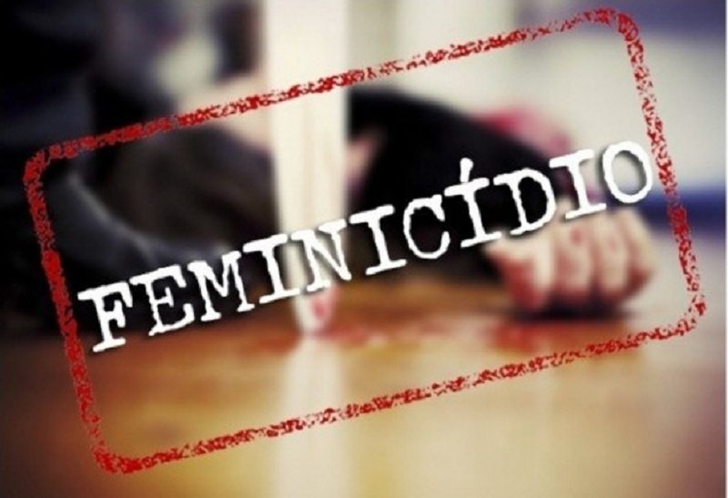 Governo de MT e deputada Edna fecham acordo para criar comissão especial do feminicídio na AL