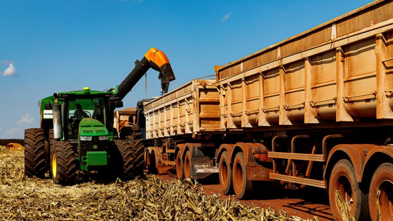 Mato Grosso finaliza colheita da segunda safra de milho com recorde de produção