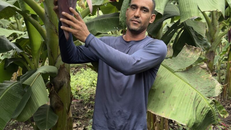 Pequenos agricultores podem receber até R$ 28 mil por ações que preservem floresta