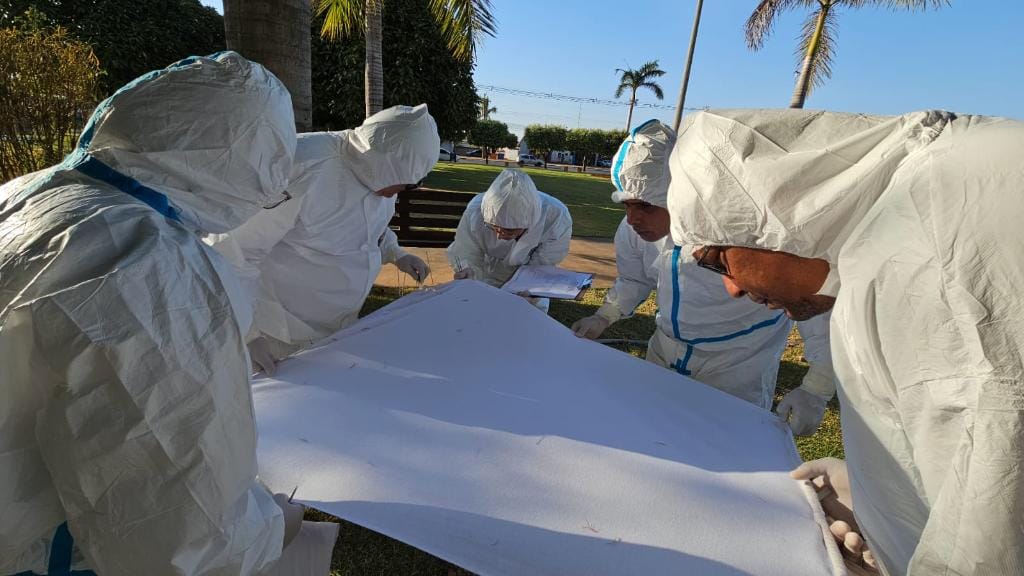 SES investiga de casos de dermatite e identifica ácaro em praças e parques