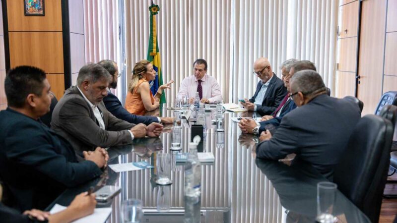 Soraya Thronicke se reúne com ministro para debater trabalho análogo à escravidão em MS