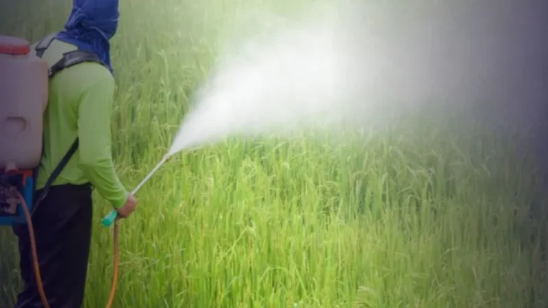 Estudo revela que divergência regulatória global não se traduz em diferença de risco real