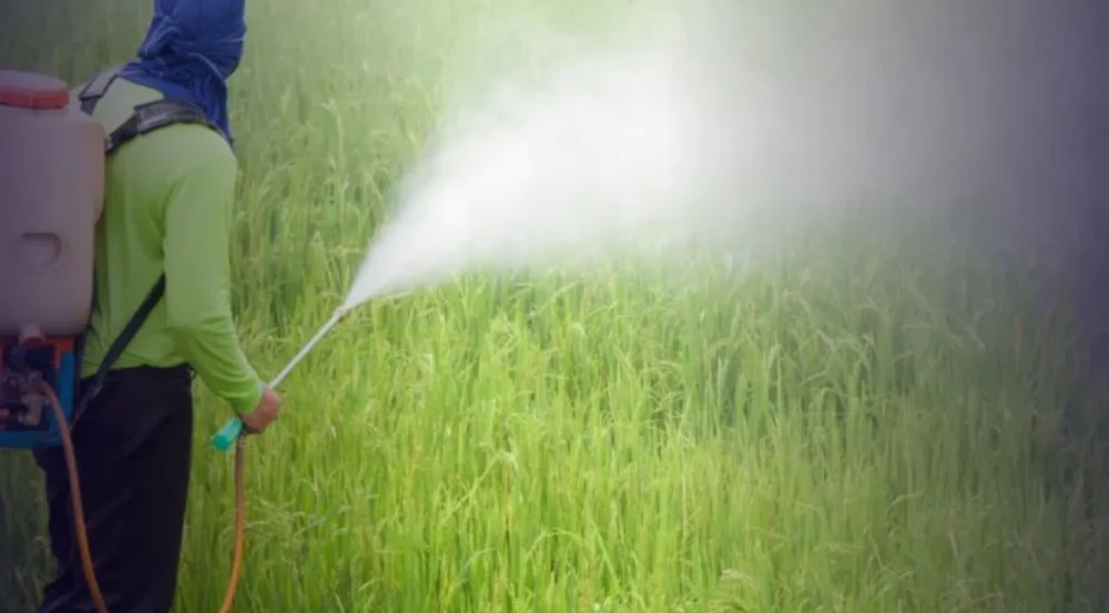 Estudo revela que divergência regulatória global não se traduz em diferença de risco real