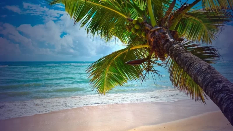 Administração Trump tenta intervir em processo contra nova “taxa verde” do Havaí