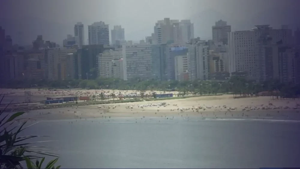 Litoral paulista tem praias impróprias para banho no final de ano