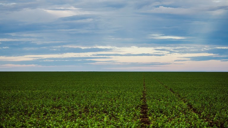 AGU pede que STF prorrogue suspensão de lei do MT sobre Moratória da Soja