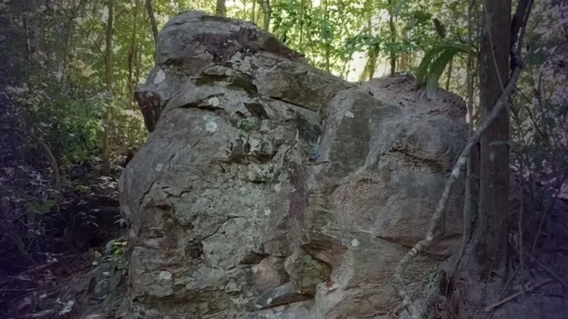 Cientistas pedem socorro para salvar Floresta Petrificada de Altos no Piauí