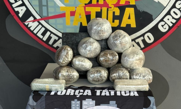 Força Tática apreende oito quilos de entorpecentes com passageiro em ônibus interestadual em General Carneiro