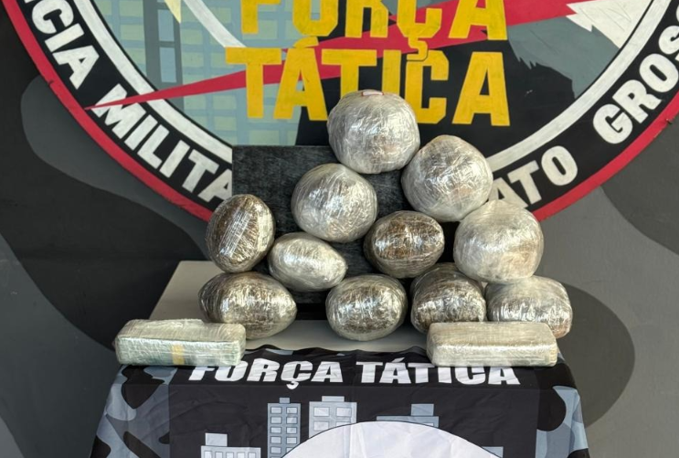 Força Tática apreende oito quilos de entorpecentes com passageiro em ônibus interestadual em General Carneiro