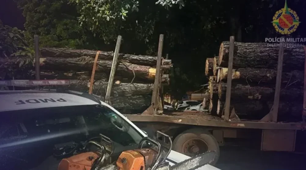 Polícia Ambiental apreende carga ilegal de madeira no Gama em operação de rotina