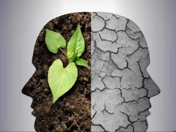 Políticas climáticas autoritárias podem ter efeito reverso e enfraquecer valores ambientais, diz estudo