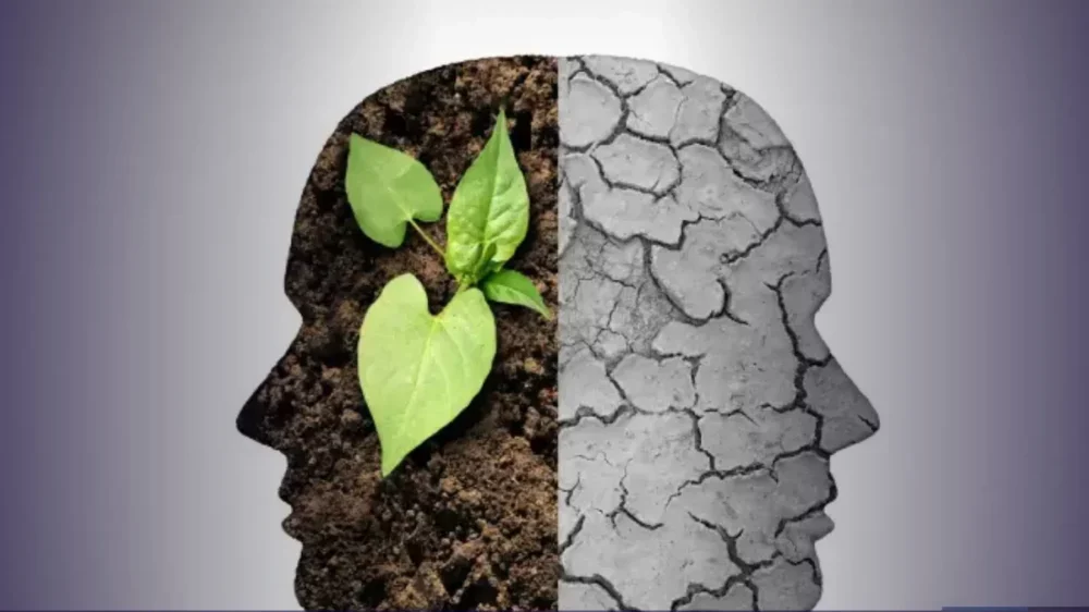 Políticas climáticas autoritárias podem ter efeito reverso e enfraquecer valores ambientais, diz estudo