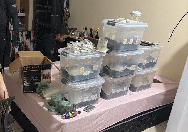 Polícia Civil cumpre 20 ordens judiciais contra grupo de traficantes que atuava em Cuiabá e no Distrito Federal