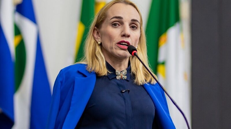 SEGURANÇA PÚBLICA – Autodefesa feminina em debate na Câmara de Cuiabá