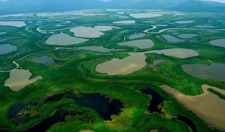 Ampliação de áreas protegidas no Pantanal demonstra a força da mobilização popular e apoio da sociedade civil de Mato Grosso