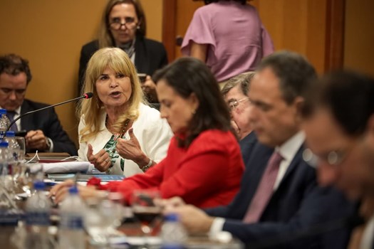 Conselho Pleno aprova ingresso da OAB como amicus curiae em ações de proteção à mulher no STF