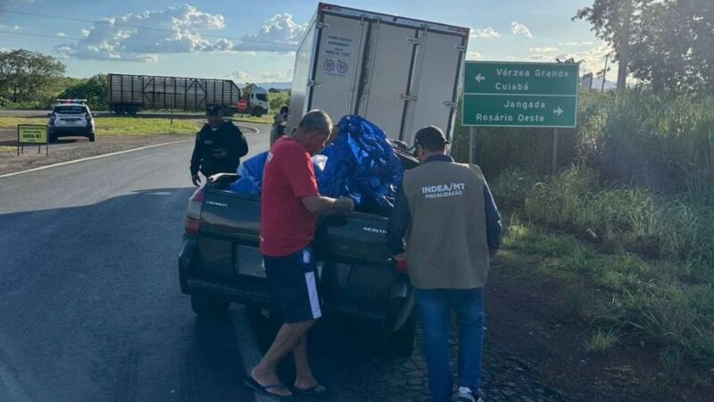 Indea intensifica fiscalização para coibir venda de pescado de estabelecimentos não registrados