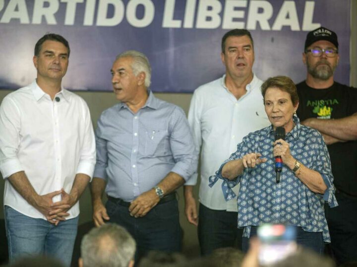 Tereza Cristina descarta ser vice e diz que vai buscar a presidência do Senado