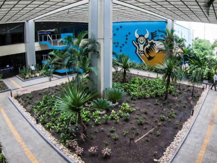 ORIENTAÇÃO: CGE e PGE alertam que é vedada a distribuição gratuita de bens em ano eleitoral