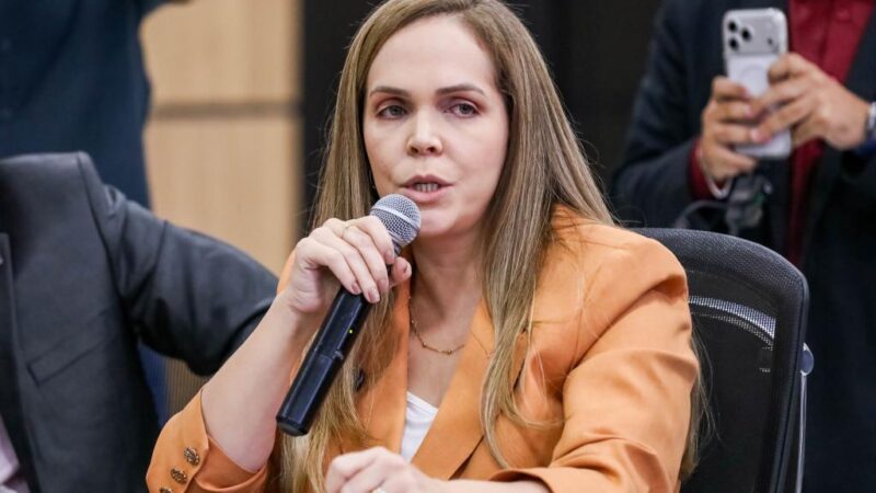 “MT se consolidou como um dos principais destinos de investimentos do país”, afirma secretária