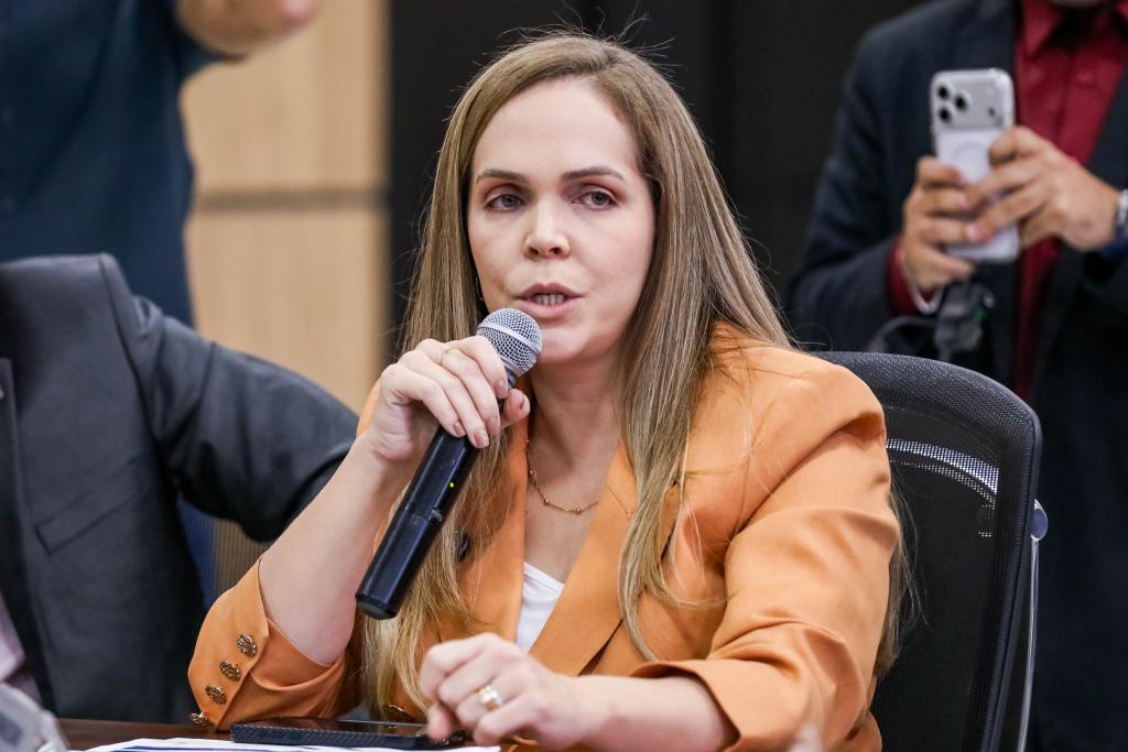 “MT se consolidou como um dos principais destinos de investimentos do país”, afirma secretária