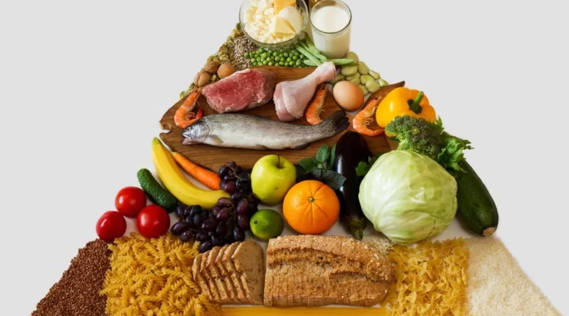 O que são carboidratos, proteínas, vitaminas e minerais na alimentação?