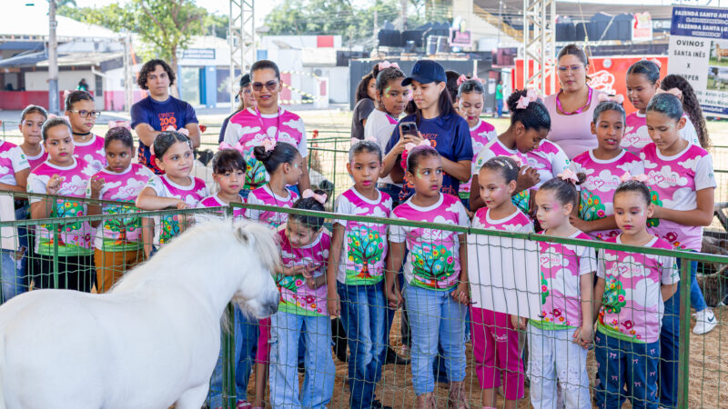 Simininas conhecem mini animais e aprendem sobre melhoramento genético durante visita à 58ª Expoagro
