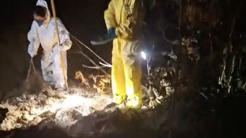 Adolescente desaparecida em Lucas do Rio Verde é achada morta