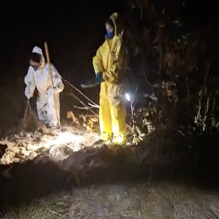 Adolescente desaparecida em Lucas do Rio Verde é achada morta
