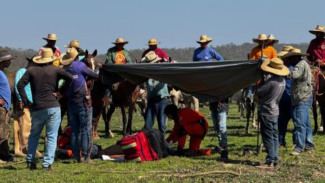 Homem é resgatado por helicóptero após acidente com cavalo no Pantanal